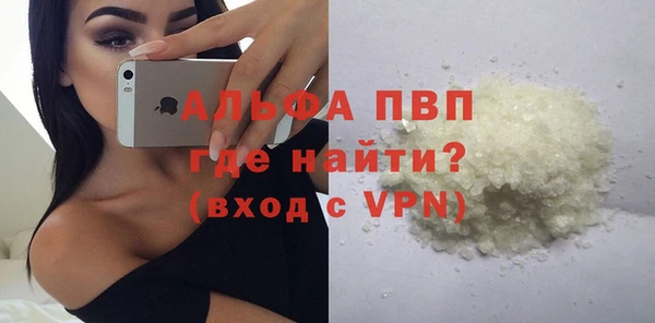 спиды Белокуриха